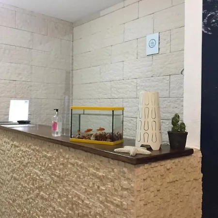 Vila Fidalgo Apartment